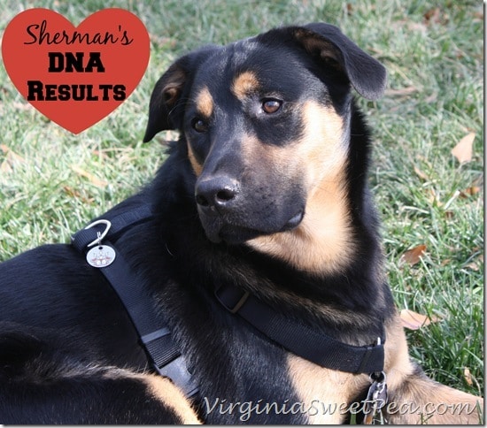 Sherman Skulina's DNA Results