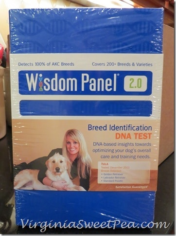 Wisdom Panel 2.0 Breed Identification DNA Test