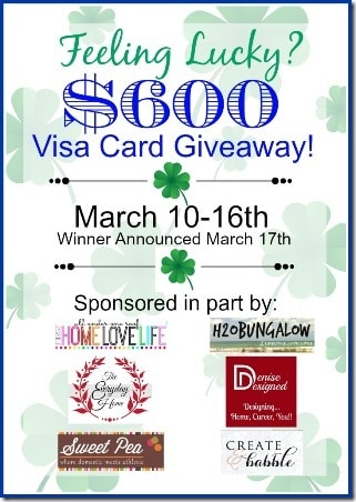 $600 Visa Card Giveaway