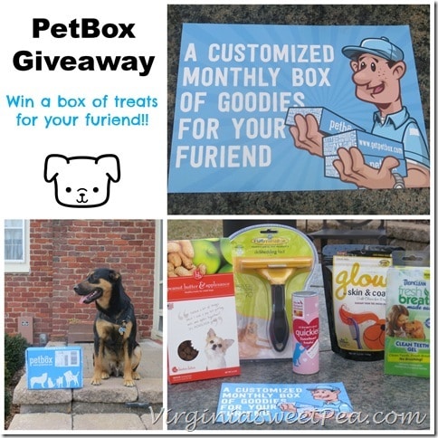 PetBox Giveaway at virginiasweetpea.com