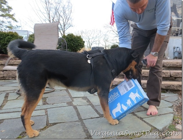 SHerman opens his PetBox