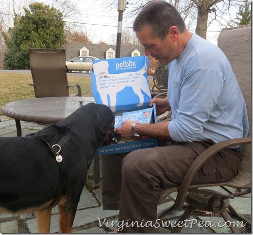 Sherman inspects his petbox