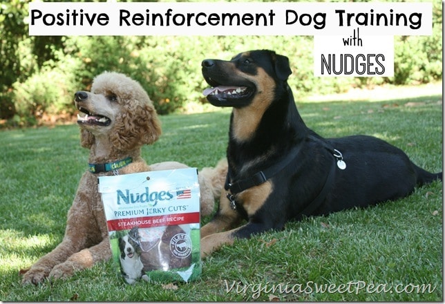 Positive Reinforcement Dog Training with Nudges by virginiasweetpea