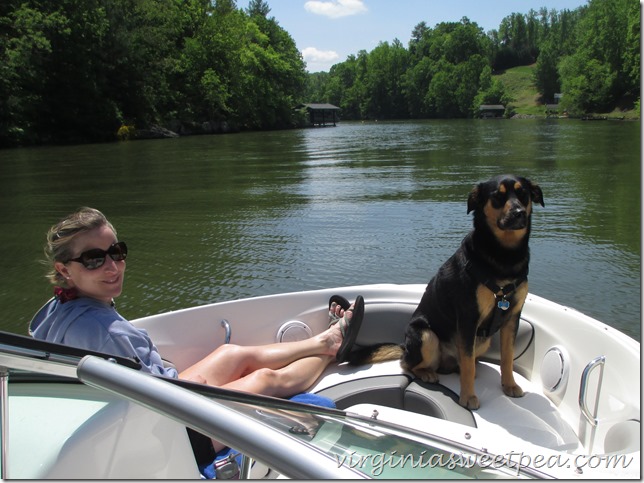 Relaxing on the Boat with Sherman at Smith Mountain Lake