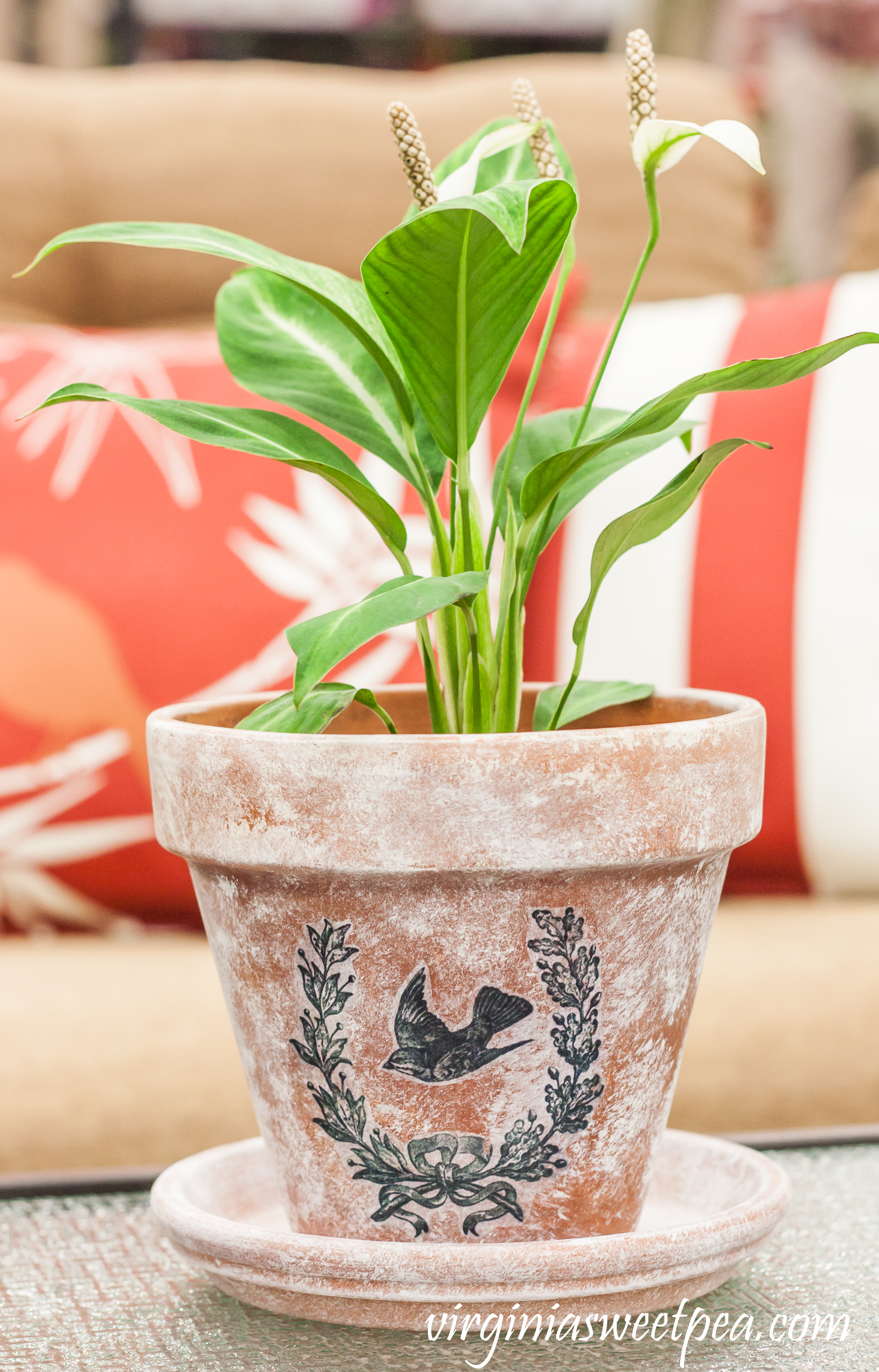 DIY Aged and Embellished Flower Pots - Learn how to make a flower pot look aged and also how to transfer and image to the pot to make it unique.