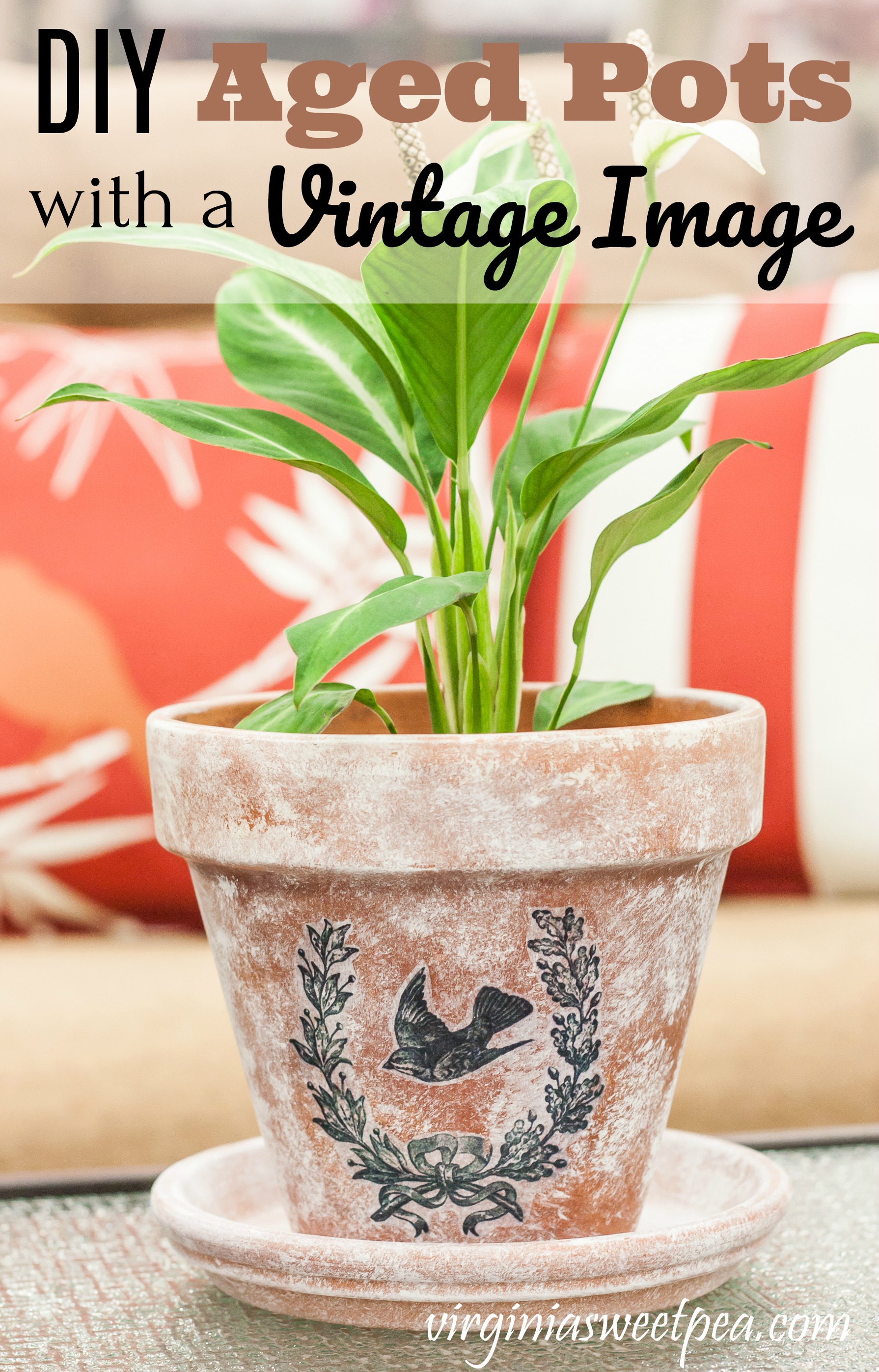 DIY Aged Pots with a Vintage Image - Make a flower pot look aged with this easy paint technique then add a vintage image for a one of a kind look.