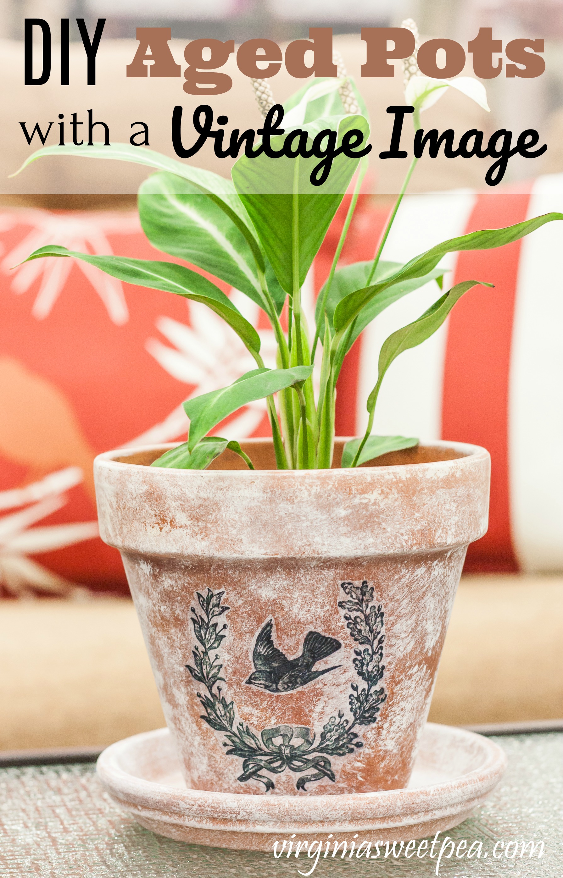 DIY Aged Pots with a Vintage Image - Make a flower pot look aged with this easy paint technique then add a vintage image for a one of a kind look.