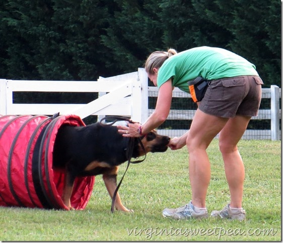 Agility - Sherman Skulina Gets a Treat