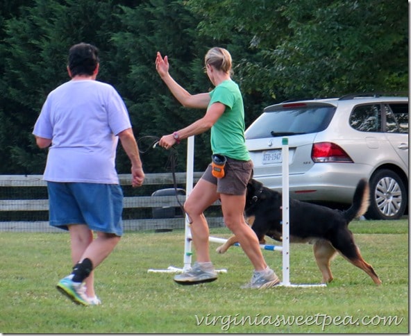 Agility - Sherman Skulina Jumping