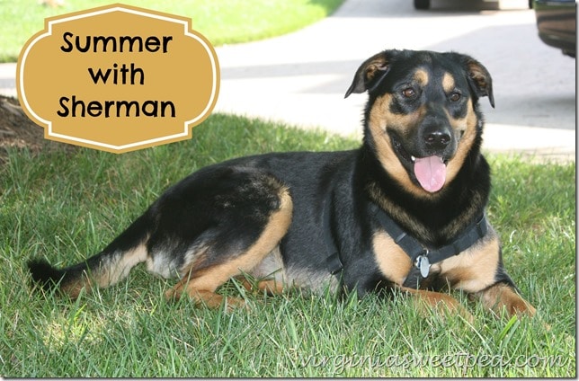 Summer with Sherman Skulina