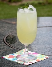 Tequila Mojito