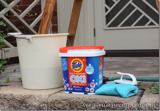 Cleaning the Front Entry with Tide Oxi