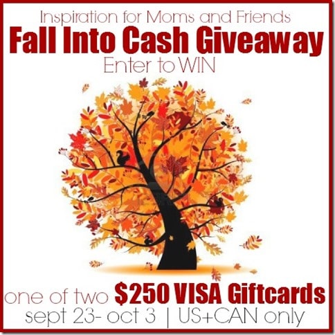 Fall Into Cash Blog Button