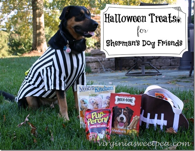 Halloween Treats for Sherman's Dog Friends