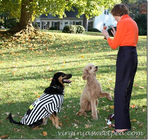 Sherman Skulina and Cajun Get Treats from Stewart