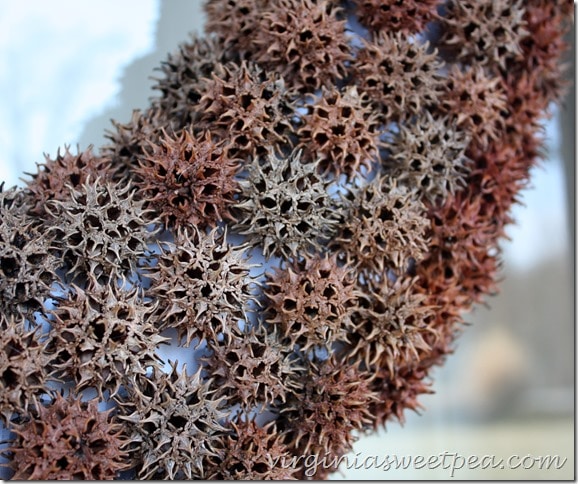 Seed Pods from a Sweet Gum Tree Used on a Wreath