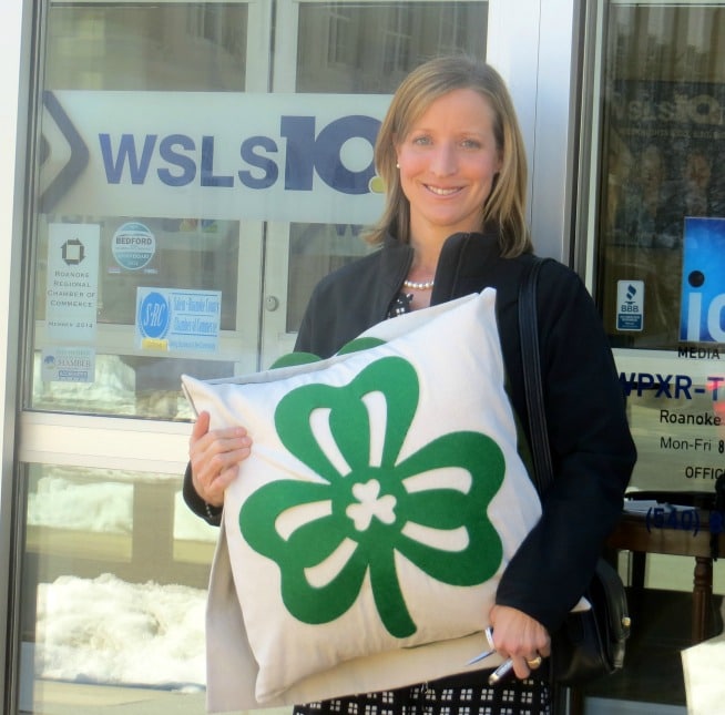 St. Patrick's Day Pillows - Sharing on WSLS TV in Roanoke, VA