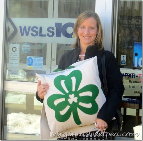 Sharing St. Patrick's Day pillows on BlueRidge Day Time