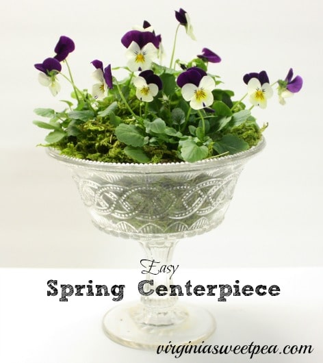 Easy Spring Centerpiece with Violas by virginiasweetpea.com