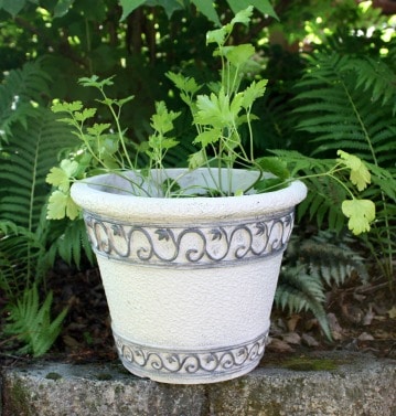 How to Makeover Flower Pots with Paint