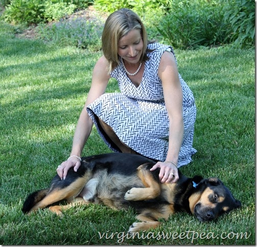 Stitch Fix dress from my May 2015 box. I kept this dress and look forward to wearing it this summer. virginiasweetpea.com