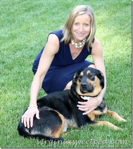 May 2015 Stitch Fix dress. I kept this one and my dog approves!