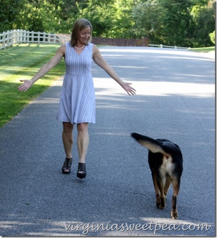 May 2015 Stitch Fix - I kept this dress. virginiasweetpea.com