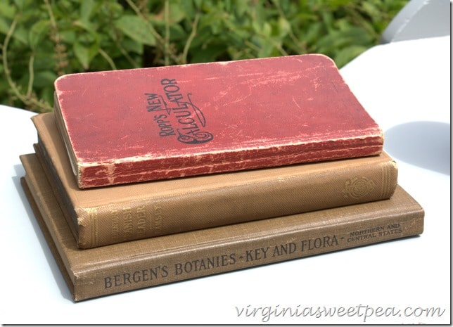 Antique Books..Ropp's New Calculator..Spanish Reader...Bergen's Botanies-Key and Flora