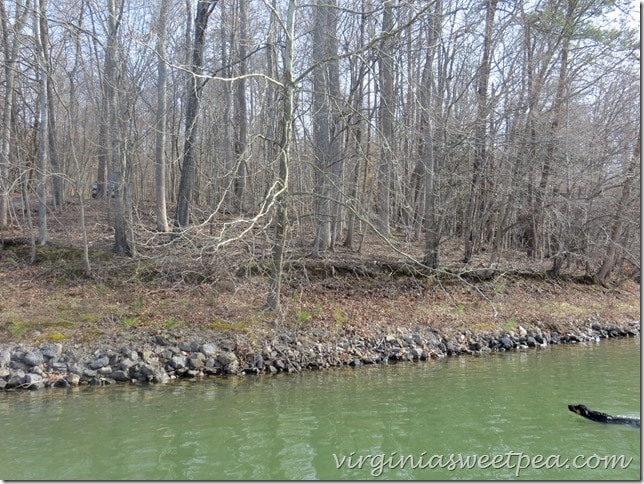 March-View-from-shoreline