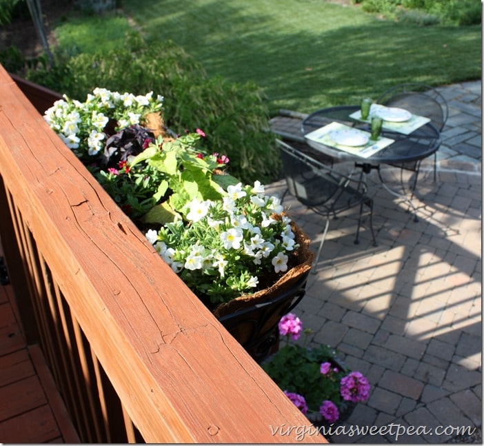 Monrovia-plants-used-in-window-box-type-planter