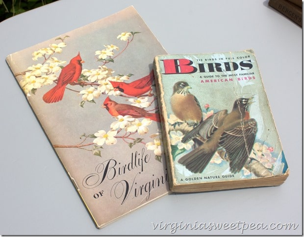 Late 1940's Golden Guide to Birds and a 1951 Birdlife of Virginia guide.  virginiasweetpea.com