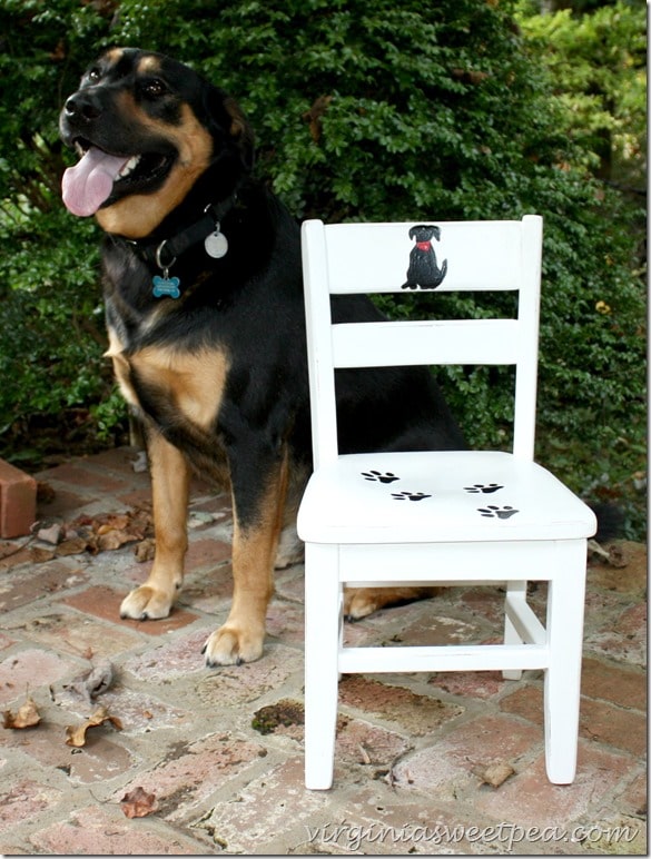 Sherman Skulina gives his doggie approval to this adorable dog themed child's chair. virginiasweetpea.com