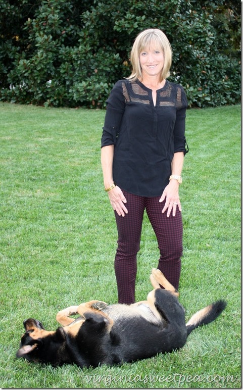 September 2015 Stitch Fix Review - Daniel Raiin Shannon Mesh Detail V-Neck Top and Margaret M Emer Houndstooth Straight Leg Pant