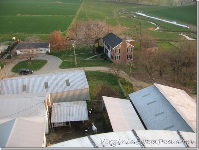 Family Farm in Maryland