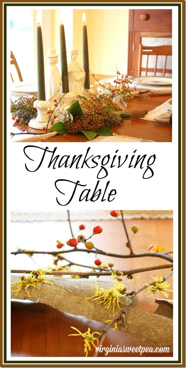 Thanksgiving Table - Make a beautiful centerpiece using natural elements. virginiasweetpea.com