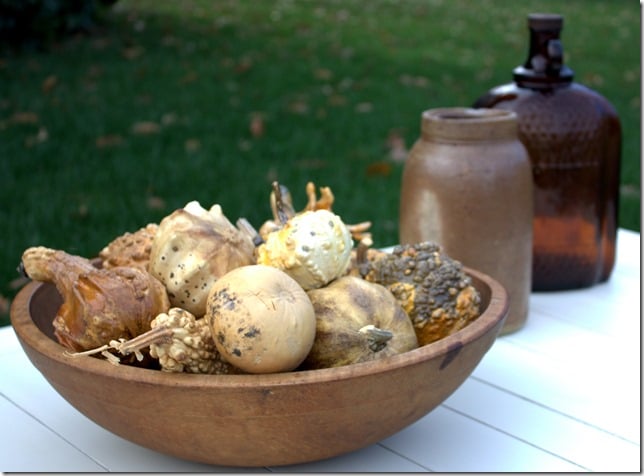 Wooden Bowl with Dried Gourds