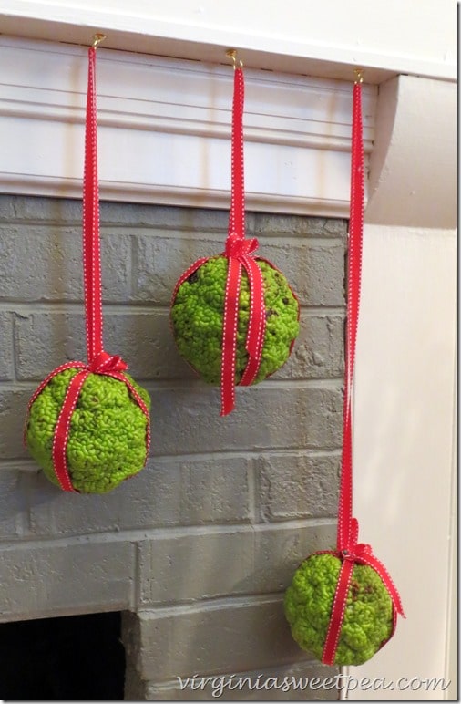 Osage Oranges used as Christmas decor