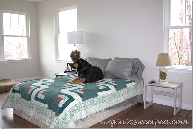 Our Bedroom at Smith Mountain Lake - Sherman Skulina approves