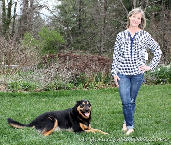 April 2016 Stitch Fix - 41Hawthorne Quay Henley Blouse