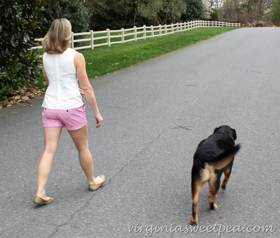 April 2016 Stitch Fix - Alice Blue Gower Peplum Blouse