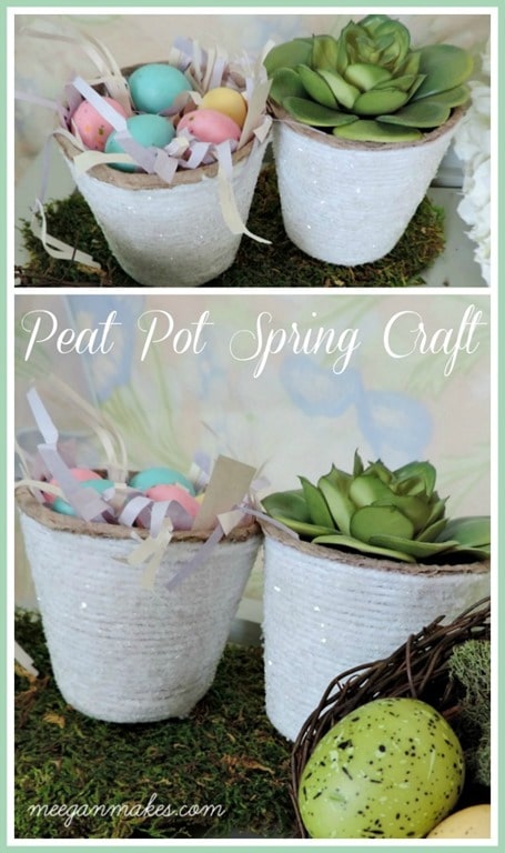 Peat-Pot-Spring-Craft