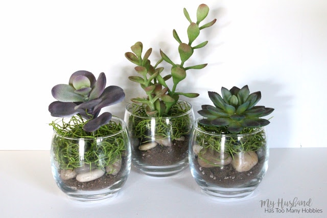 Faux Succulent Planters 4