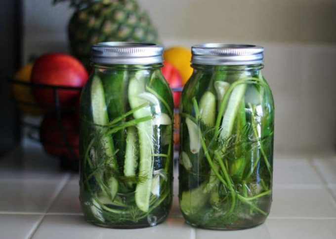 homemade refrigerator pickles