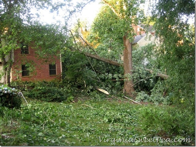 2012 Derecho Damage in Lynchburg, VA