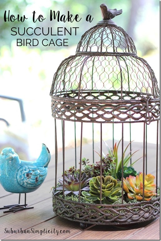 Decorate-with-Succulents-in-Birdcage