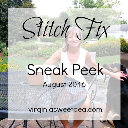 Get a sneak peek at my August 2016 Stitch Fix box.