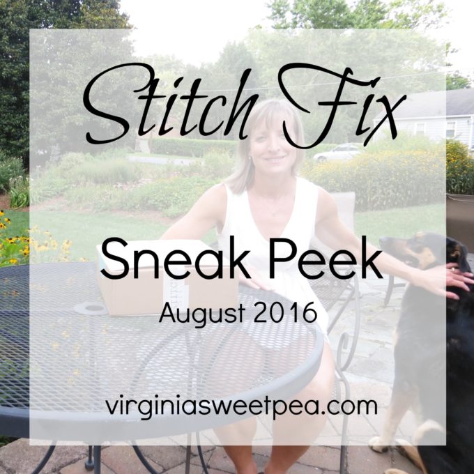 Stitch Fix Sneak Peek for August 2016