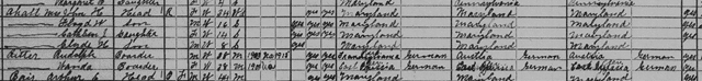 1920 Census