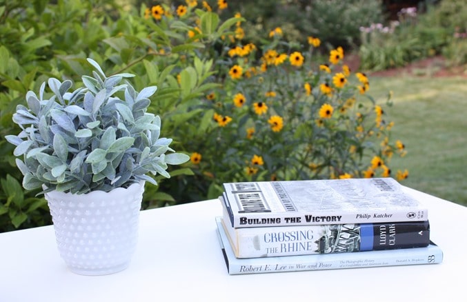 Coffee Table Vignette with Civil War Books