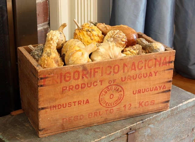 Dried Gourds in an Vintage Wooden Box I Fall Mantel and Living Room Decor - Get ideas for decorating your mantel and living room for fall. #fall #falldecor #fallvignette #falldecorating #vintage